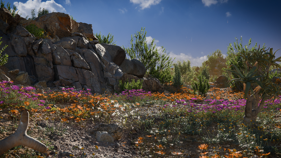 Namaqualand