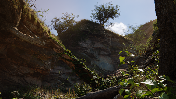 A Verdant Trail
